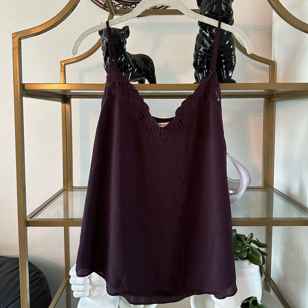 Aritzia Plum Embroidered V-Neck Silk Cami